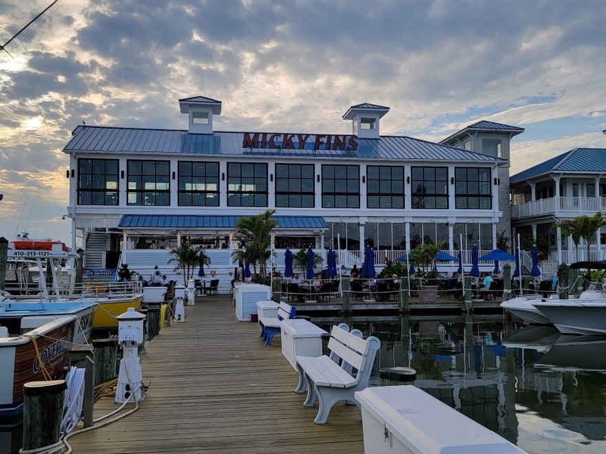 Micky Fins Bar & Grill Micky Fins Bar & Grill