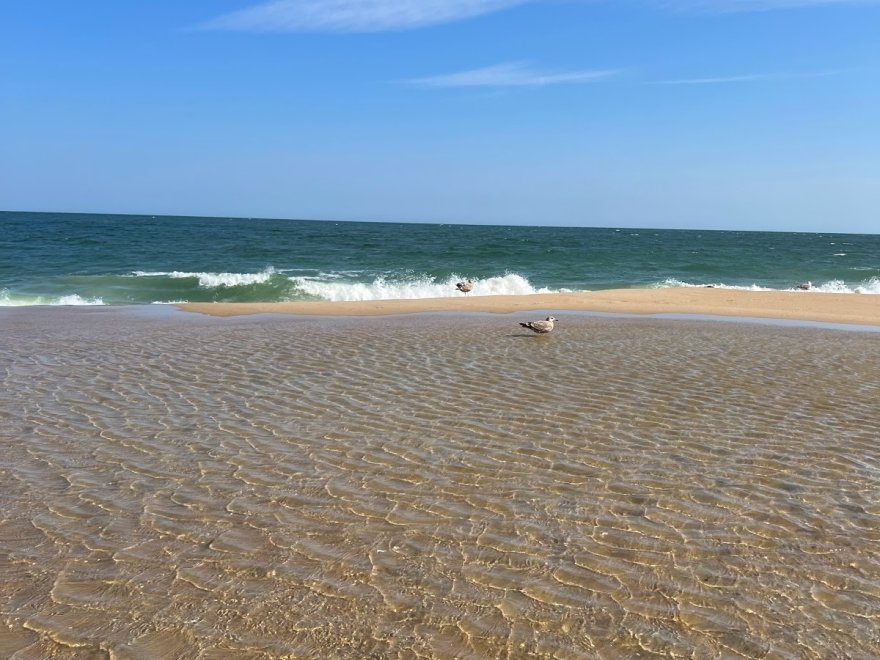 Ocean Pines Beach Club Ocean Pines Beach Club