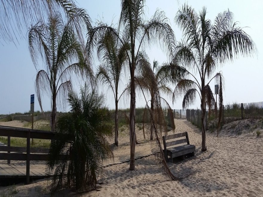Ocean Pines Beach Club Ocean Pines Beach Club