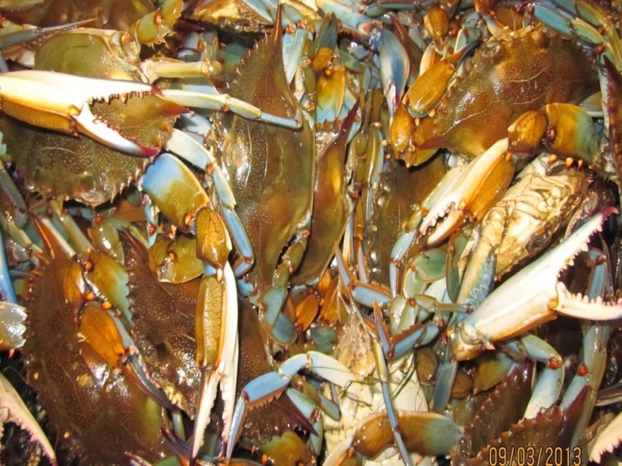 Victoria's Seafood & Crabs Carryout Victoria's Seafood & Crabs Carryout