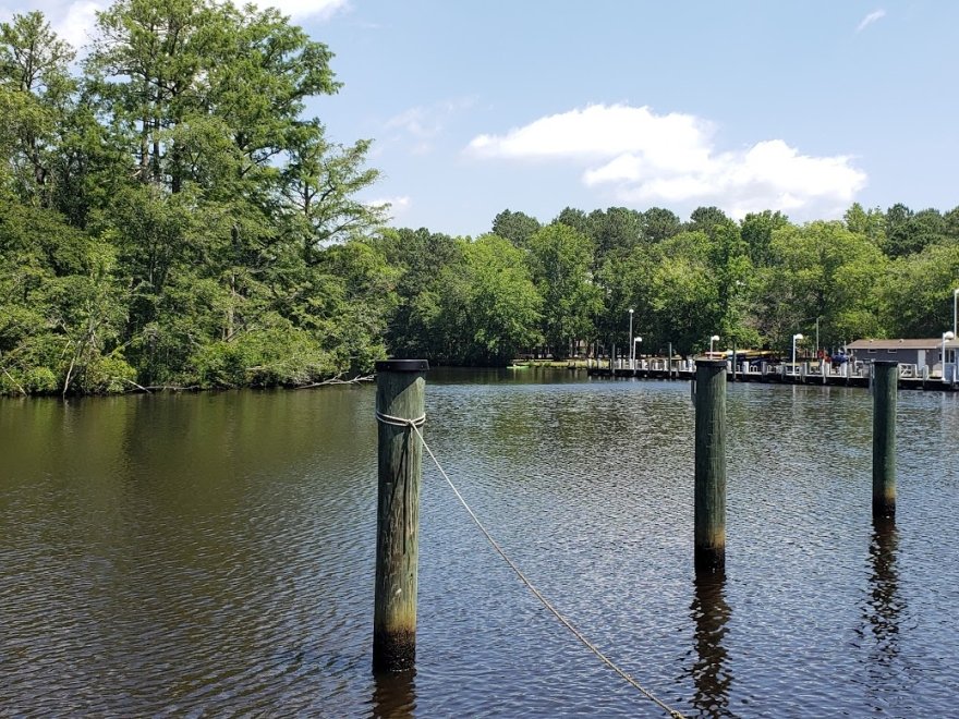 Pocomoke River State Park: Shad Landing